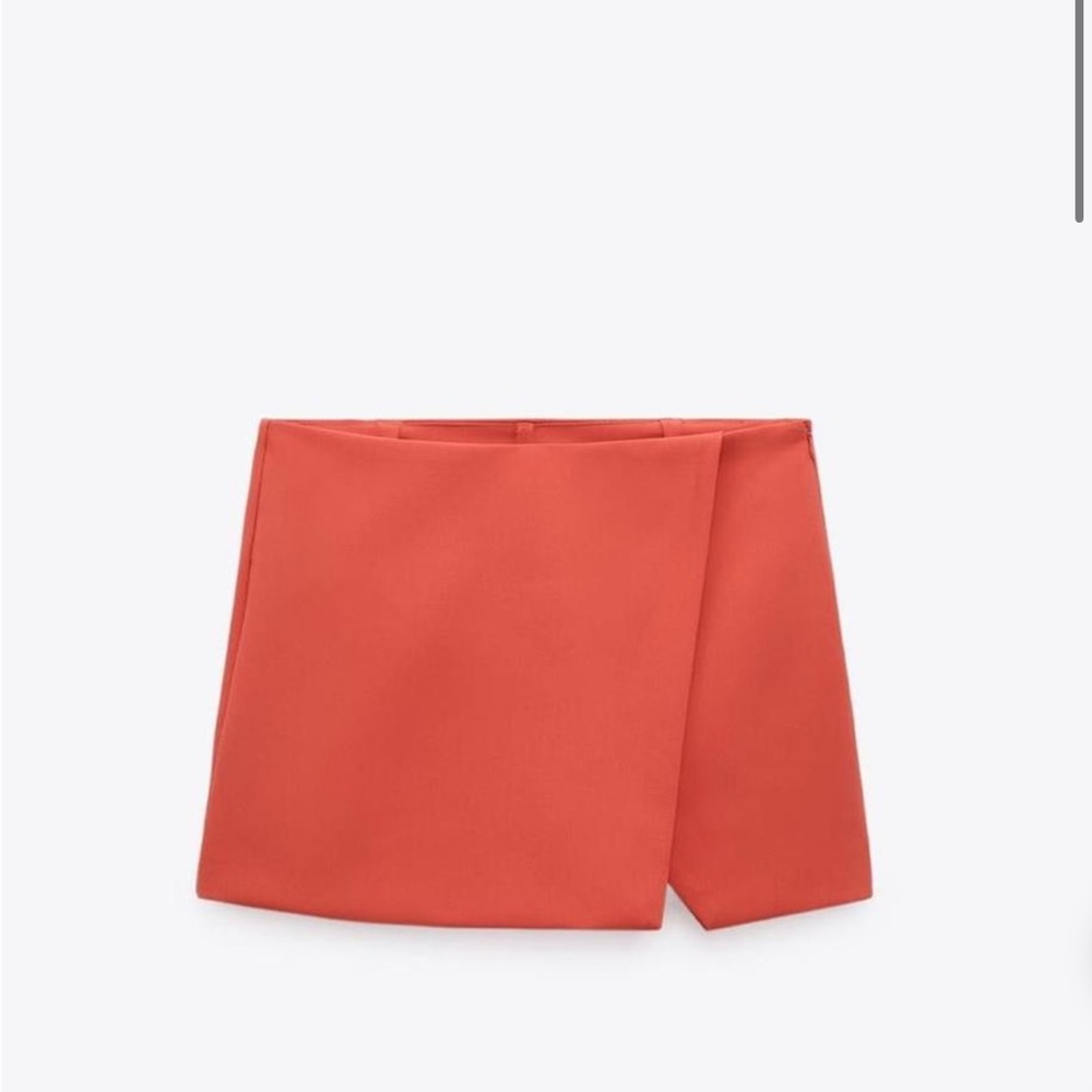 NWT Zara Skirt